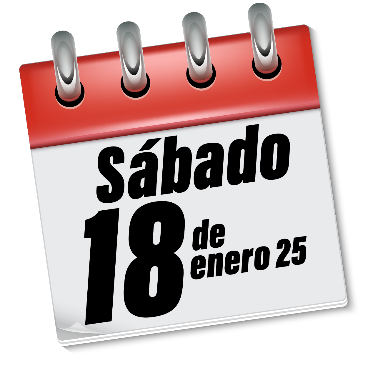 Open ScHool 25-26_Fecha 11 Noviembre