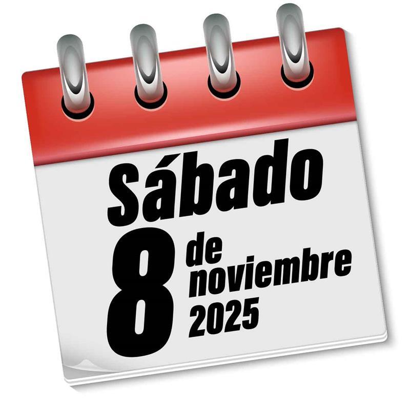 Open ScHool 26-27_Fecha 8 DE NOVIEMBRE